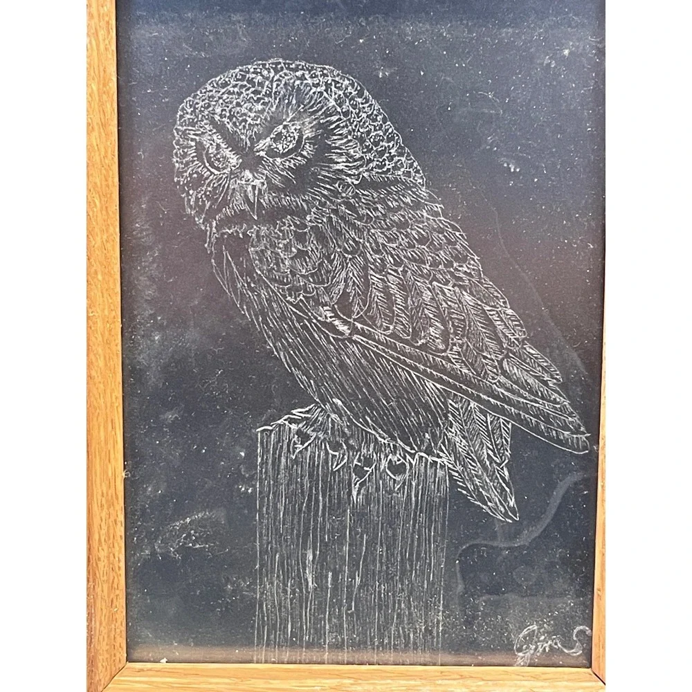 Vintage Owl Burning on Acrylic Original Art Signed Gen Kreiling 2001 Oak Frame